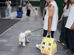 -龙湖杭州滨江天街