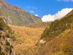 -叠溪松坪沟景区