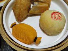 -甄御•海鲜新青岛菜(麦岛店)