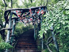 景点-天目湖山水园