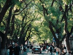 -北京国子监胡同