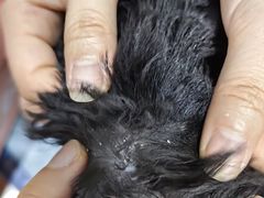 -四月宠物医院·猫专科·心脏专科·内科(转塘店)