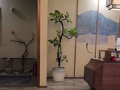 -鼎族怡华·指压·经络·疗愈SPA(紫荆店)