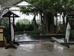 -太白山御龙湾温泉