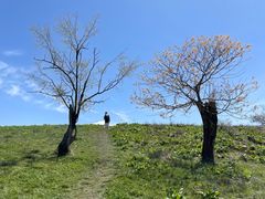 -硗碛藏寨·神木垒景区