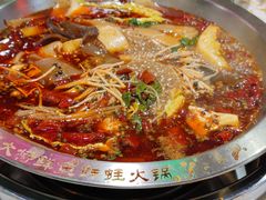 -蛙一刀·麻椒鱼火锅(金仙桥店)