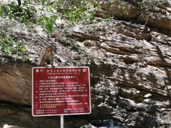 -北京上方山国家森林公园