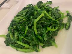 -新南华大酒店(长寿店)