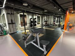 -健身专家Wellness Experts