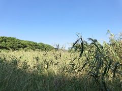 -游龙石文化科普馆
