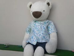 -济州岛泰迪熊博物馆