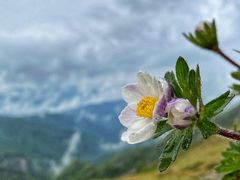 -终南山国家森林公园