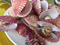 -三乐海鲜水饺馆