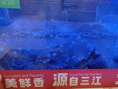 -三江源活鱼现烤(维多利摩尔城店)