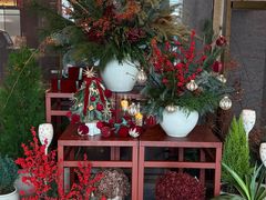 -OGGI TRATTORIA PIZZERIA(深业上城店)