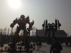 -上海长兴岛郊野公园