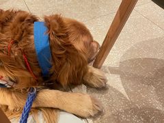 -奈雪的茶(松江万达店)