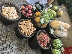 -五棵树•粤西高凉菜(琶洲店)