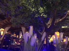 -绿茶餐厅(乐峰广场店)