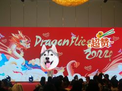 -上海浦东喜来登由由大酒店·宴会厅