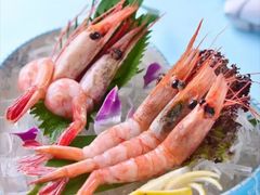 -羊门客在·烤盐池滩羊·川菜