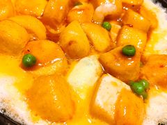 -新白鹿餐厅(金鹰新街口店)