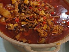 -向塘土鸡总店(八一广场店)