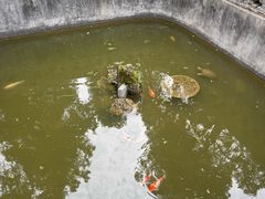 -南阳卧龙岗武侯祠