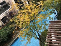 -上海东方佘山翰悦阁酒店·Vie全日制餐厅