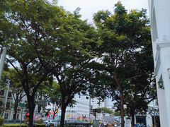 -三亚市第二中学