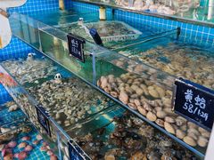 -北戴河庆山饭店·海鲜砂锅粥(北戴河黑石路店)