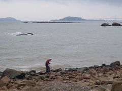 -野狸岛
