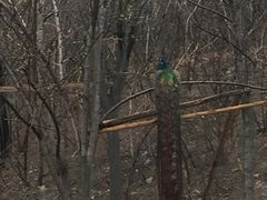 -石家庄市动物园