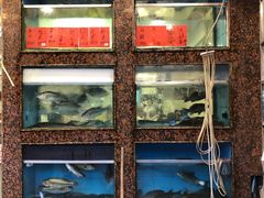 鱼池-嘉华海鲜酒家(龙津中路店)