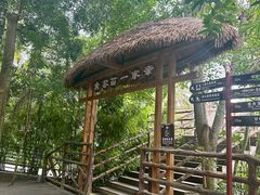 -海南槟榔谷黎苗文化旅游区