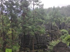 -梭布垭石林景区