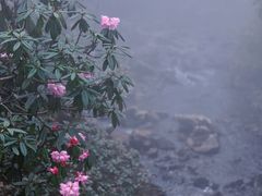 -瓦屋山景区