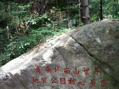 -王顺山国家森林公园