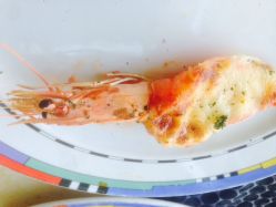 iphone_upload_pic-阳光五洲大酒店·宴会厅