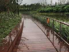 -上海浦江郊野公园-2号停车场