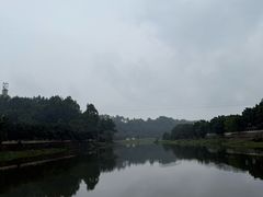 -小杨翘脚牛肉