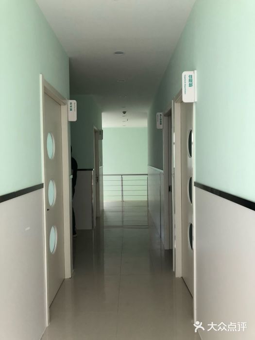 佳雯宠物医院图片