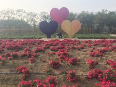 -广东花都香草世界旅游度假区