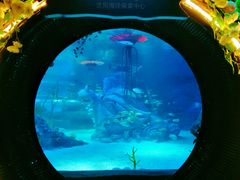 -沈阳海洋探索中心