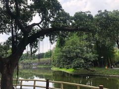 -晓港公园