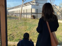 -祥源·阜阳生态乐园