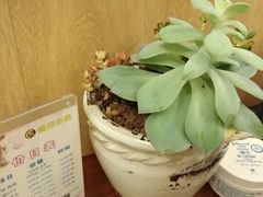 包房-和辰御足