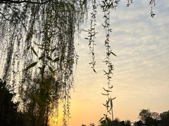 -南山湖公园
