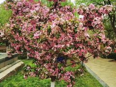 -元大都城垣遗址公园