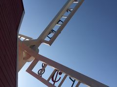 -金塔沙漠胡杨林景区